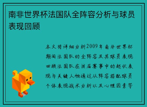 南非世界杯法国队全阵容分析与球员表现回顾