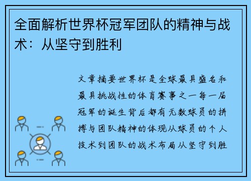 全面解析世界杯冠军团队的精神与战术：从坚守到胜利